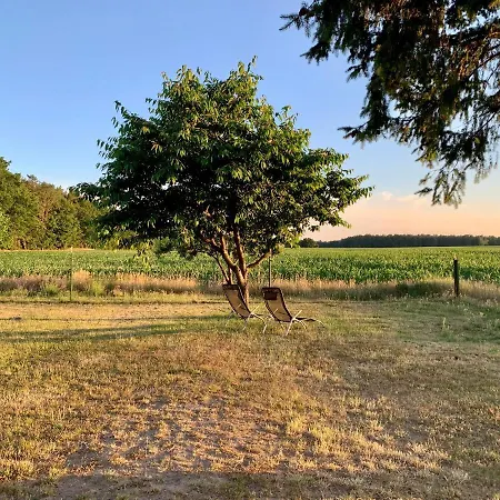 Feriehus Idyllisches In Ruhiger Lage