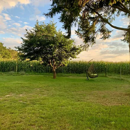 Idyllisches In Ruhiger Lage Wölsickendorf-Wollenberg