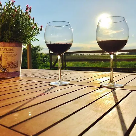 Idyllisches In Ruhiger Lage 펜션 Wölsickendorf-Wollenberg