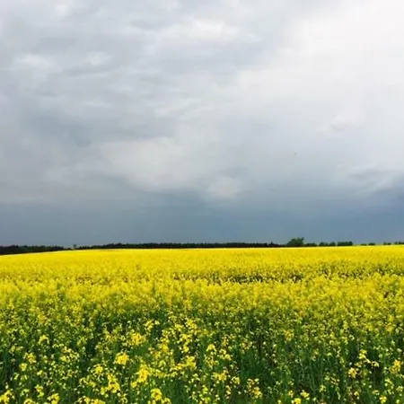 펜션 Idyllisches In Ruhiger Lage Wölsickendorf-Wollenberg