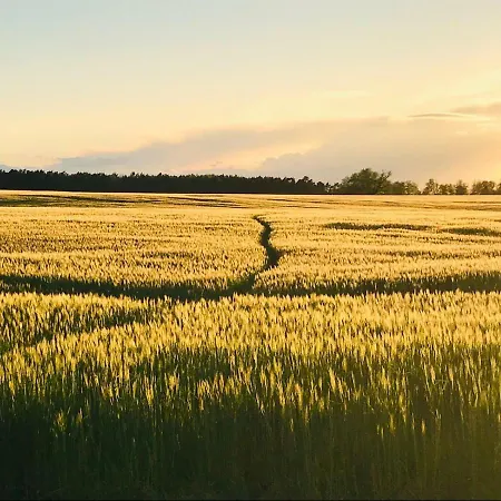 Idyllisches In Ruhiger Lage * Wölsickendorf-Wollenberg