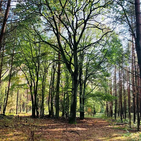 Idyllisches In Ruhiger Lage 펜션