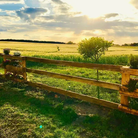 펜션 Idyllisches In Ruhiger Lage Wölsickendorf-Wollenberg
