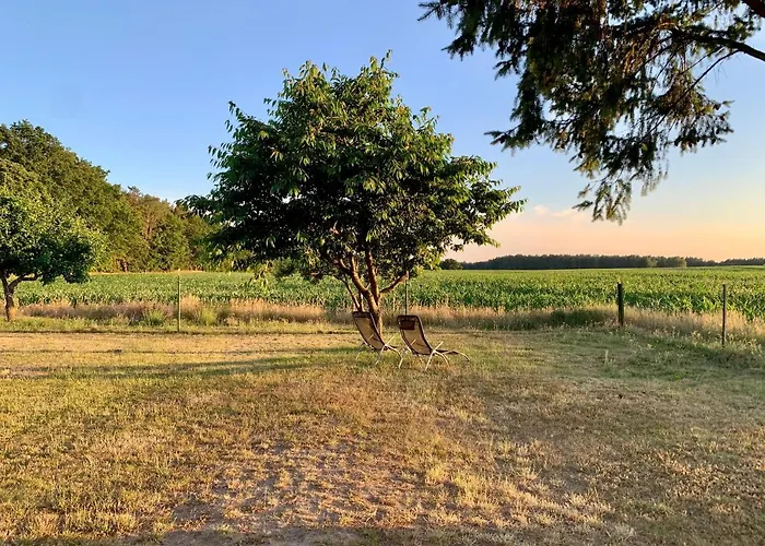 Feriehus Idyllisches In Ruhiger Lage
