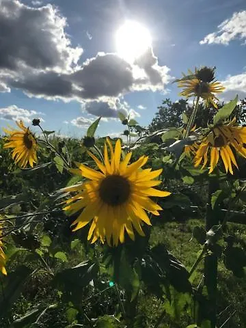 Idyllisches In Ruhiger Lage *