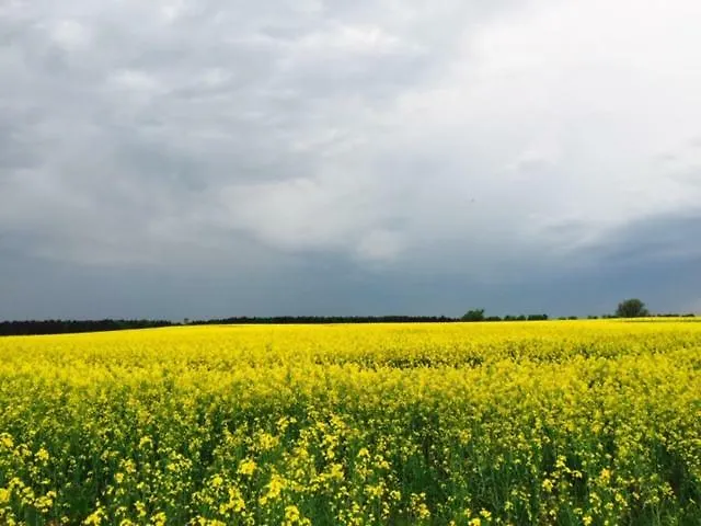 Semesterbostad Idyllisches In Ruhiger Lage Wölsickendorf-Wollenberg