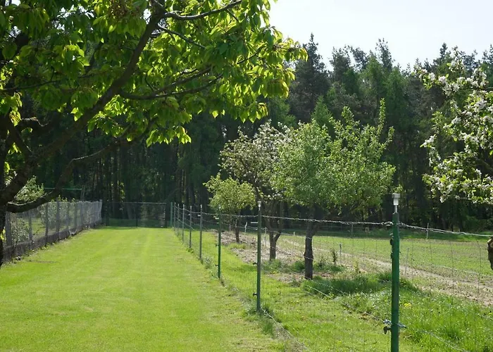 Semesterbostad Idyllisches In Ruhiger Lage Wölsickendorf-Wollenberg