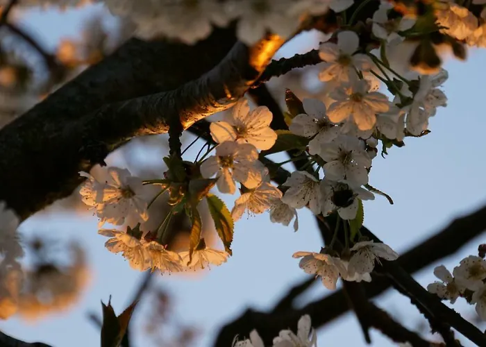 Idyllisches In Ruhiger Lage *