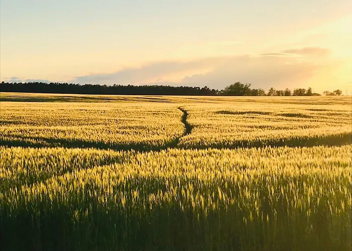 Idyllisches In Ruhiger Lage * Wölsickendorf-Wollenberg