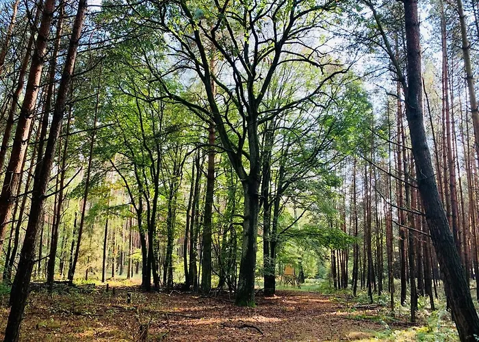Idyllisches In Ruhiger Lage Feriehus